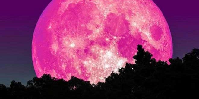 ظاهرة القمر الوردي