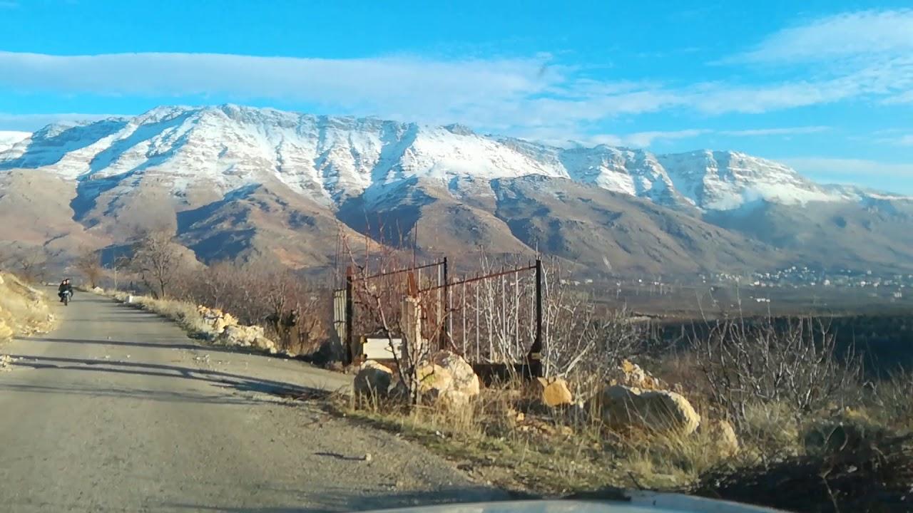 سرغايا