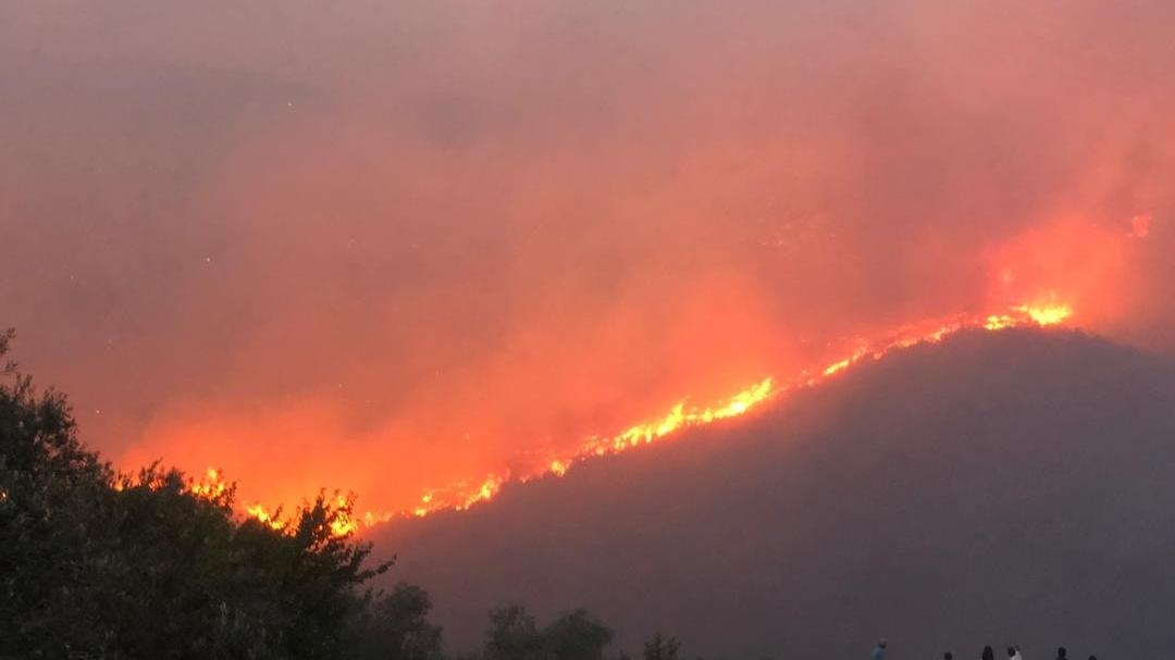 فيرمو: إمكانية لتأثر غابات الساحل بمؤشرات خطورة حريق متوسطة ومنخفضة