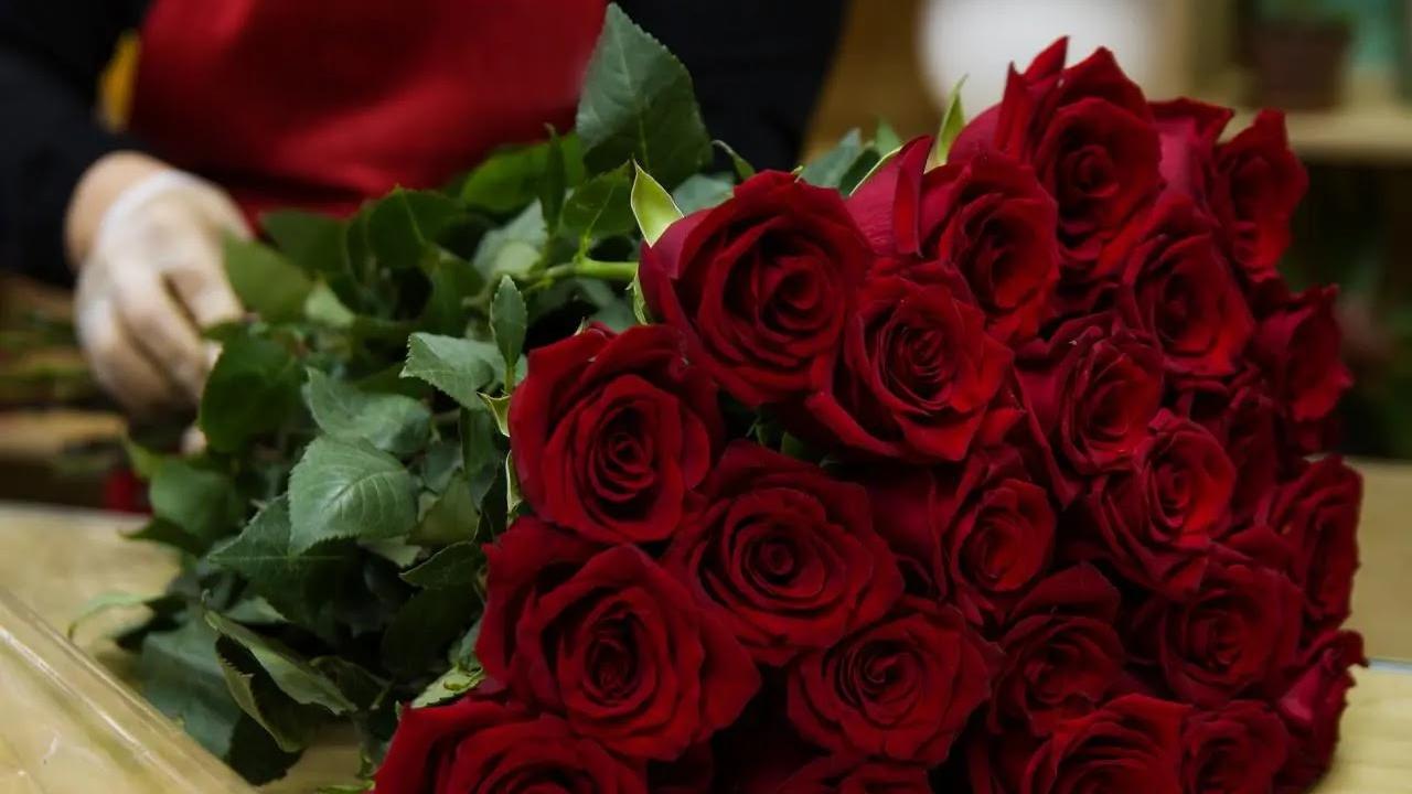 الورد الأحمر في عيد الحب
