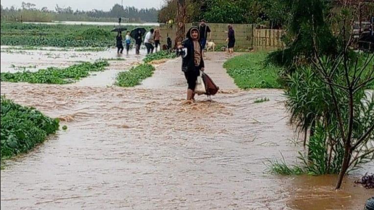 غمر أراضٍ مزروعة بالقمح إثر فيضان حمص، والتعويض لن يشمل الجميع