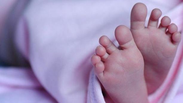 سيدة تختطف طفلة حديثة الولادة من مشفى سلمية الوطني 