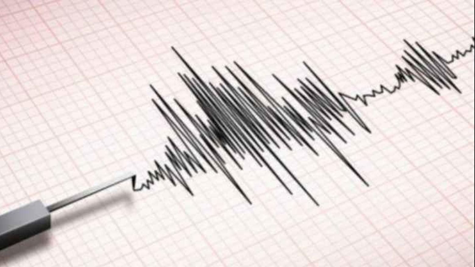 مدير مركز الزلازل الوطني: 1463 هزة منذ بداية العام.. ولا مؤشرات لزلزال على المدى القريب 