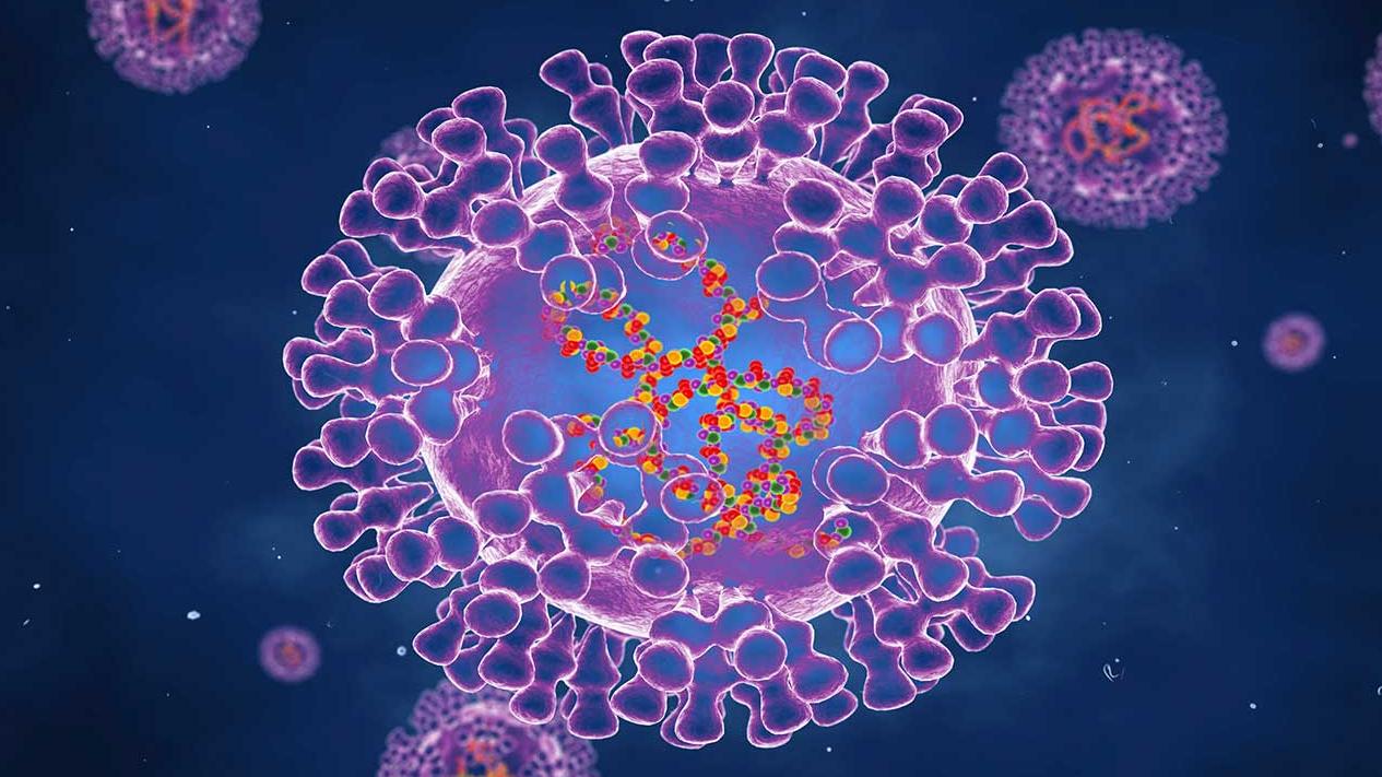 أستراليا تكتشف سلالة جديدة شديدة العدوى من إنفلونزا الطيور