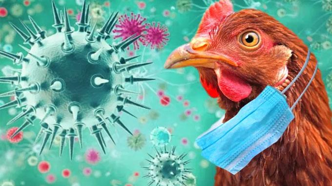 الصحة العالمية تعلن عن أول وفاة بشرية بمتحور من إنفلونزا الطيور