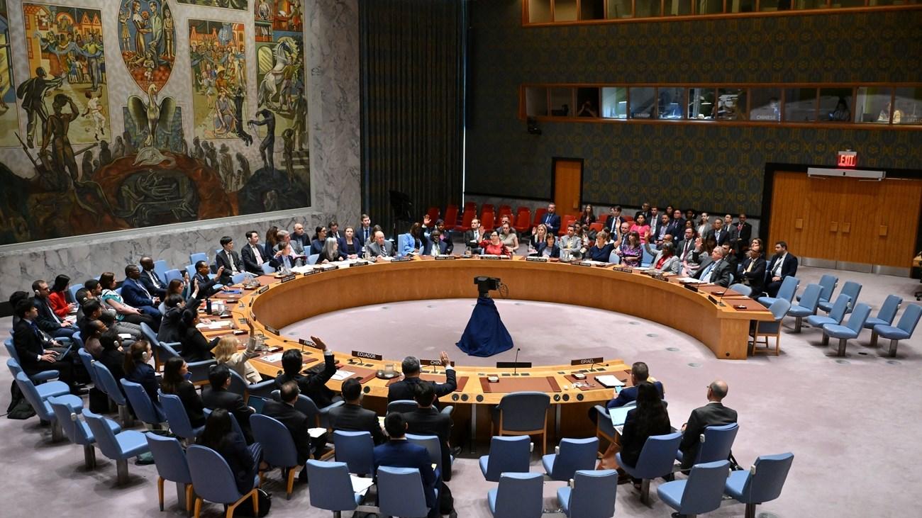 مصر ترحب بقرار مجلس الأمن الداعي لوقف فوري لإطلاق النار في غزة