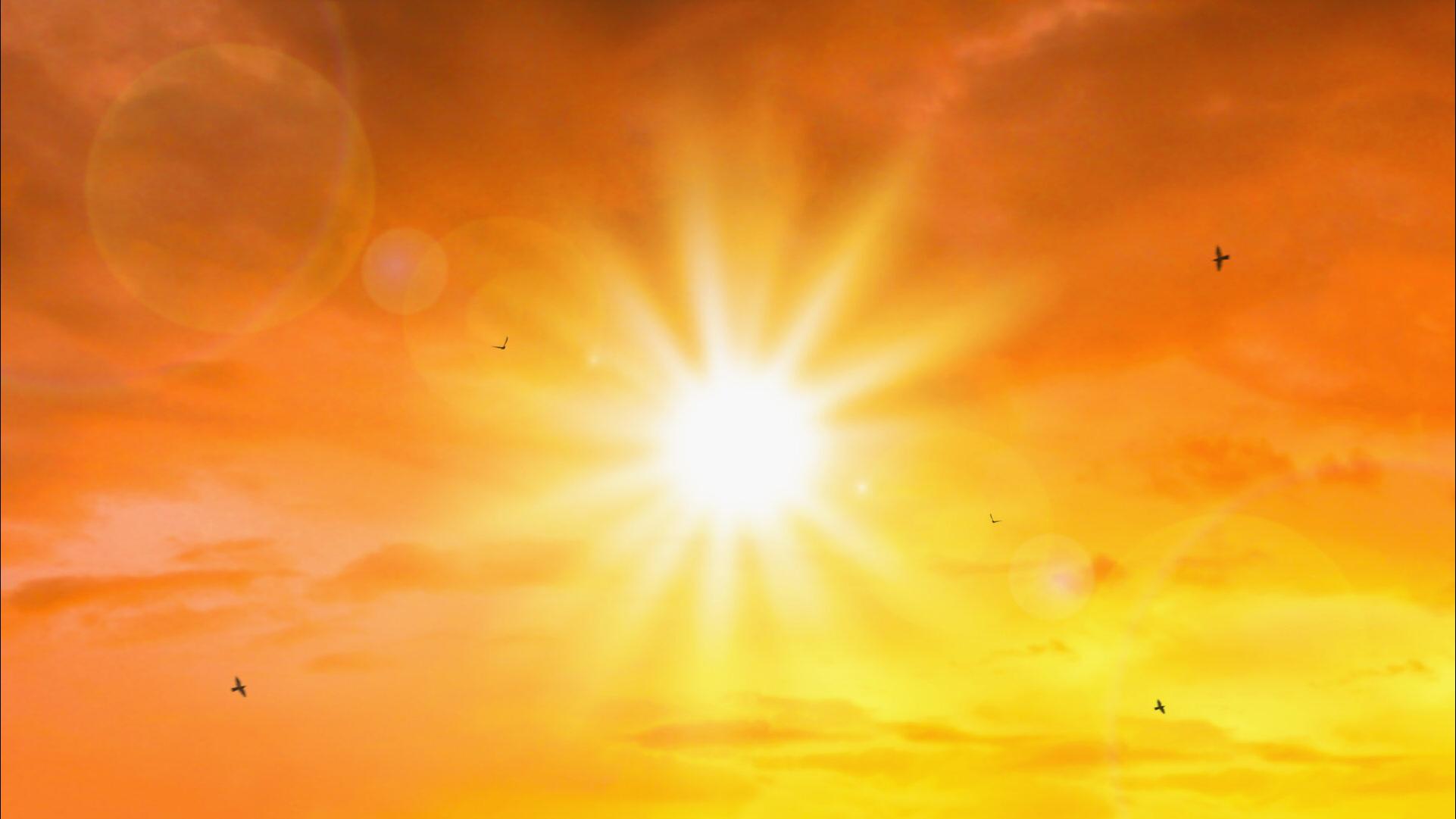 تحذيرات من التعرض لأشعة الشمس ونشوب حرائق بالمناطق الحراجية خلال الموجة الحارة الحالية